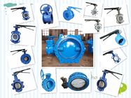 4 Inch Integral gluing Double Flange CF8M Flange Butterfly Valve